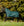 Couverture d’Extérieur Poney Amigo® Ripstop 900D Plus 0g Horseware