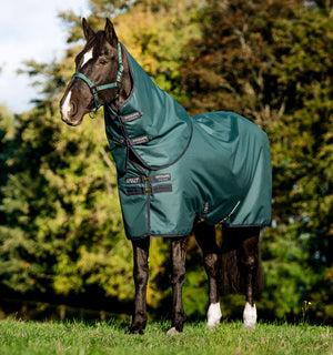Couverture d’Extérieur Poney Amigo® Ripstop 900D Plus 50g Horseware