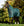 Couverture d’Extérieur Poney Amigo® Ripstop 900D Plus 50g Horseware