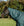 Couverture d’Extérieur Poney Amigo® Ripstop 900D Plus 200g Horseware