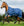 Couverture d’Extérieur Amigo® 1200D Wug 0g Horseware