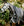 Couverture d’Extérieur Amigo® 1200D Wug 400g Horseware