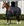 Couverture d’Écurie Rambo® Stable 100g Horseware