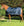 Doublure Horseware® Pony Liner 100g