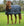 Doublure Rambo® Optimo 300g Horseware