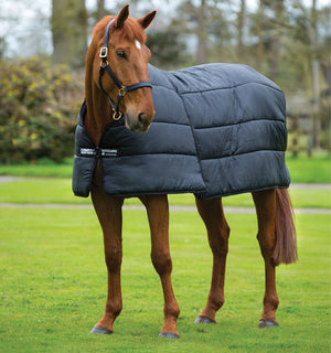 Doublure Rambo® Optimo 300g Horseware