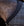 Couverture d’Écurie Poney Rhino® Stable 250g Vari-Layer Horseware