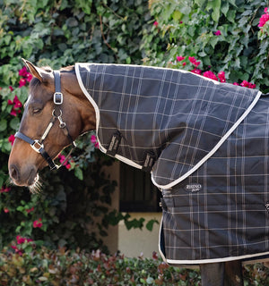 Couvre-cou d’Écurie Rhino® Stable 100g Horseware
