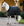 Couverture d’Écurie Rhino® 250g Vari-Layer Horseware