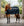 Doublure Séchante Horseware® Dry Liner 50g