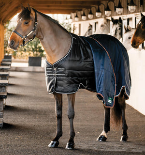 Couverture d’Écurie Easy-Layer 100g Horseware