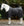 Couverture Show Ready Horseware®