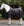 Couverture Show Ready Horseware®