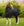 Couverture d’Écurie Amigo® Ripstop Insulator 100g Horseware