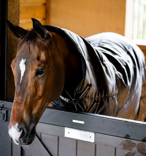 Couverture d’Écurie Amigo® Ripstop Insulator Plus 200g Horseware