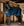 Chemise Séchante Rambo® Techni-Waffle Horseware