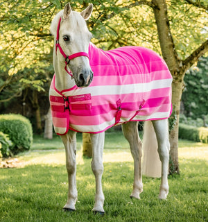 Chemise Séchante Polaire Horseware® Newmarket