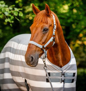 Chemise Séchante Polaire Poney Horseware® Newmarket