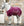 Chemise Séchante de Voyage Signature Horseware®