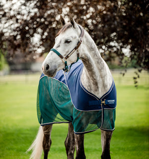 Chemise Séchante Signature Sport Horseware®