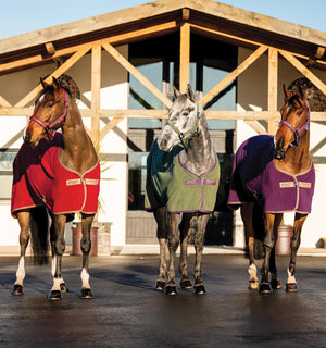 Chemise Séchante Polaire Amigo® Horseware