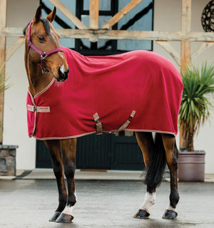 Chemise Séchante Polaire Amigo® Horseware