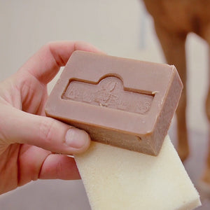 Kevin Bacon's – KEVIN BACON’S Active soap savon    | Sellerie Bucéphale