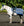 Protecție pentru șa Horseware Newmarket