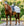 Protecție pentru șa Horseware Newmarket