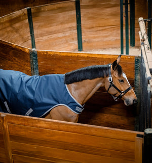 Couverture de Marcheur Amigo® Ripstop 900D Walker 100g Horseware