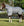 Chemise Anti-mouches Rambo® Protector Fieldsafe Plus Horseware