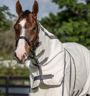 Chemise d’Été Rambo® Optimo Supreme Plus Horseware