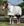 Chemise d’Été Rambo® Optimo Supreme Plus Horseware