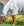 Chemise d’Été Amigo® Ripstop Hoody Horseware