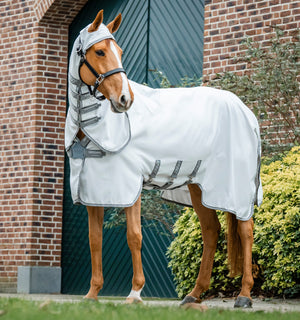 Chemise d’Été Amigo® Ripstop Hoody Horseware