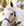 Chemise d’Été Poney Amigo® Ripstop Hoody Horseware
