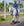 Chemise Anti-mouches d’Équitation Amigo® Flyrider Horseware