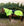 Chemise Anti-mouches d’Équitation Amigo® Flyrider Horseware