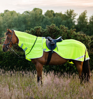 Chemise Anti-mouches d’Équitation Amigo® Flyrider Horseware