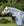 Chemise Anti-mouches Poney Amigo® Bug Rug Plus Horseware