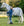 Chemise Anti-mouches Poney Amigo® Bug Rug Plus Horseware