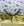Chemise Anti-mouches Poney Amigo® Bug Rug Plus Horseware
