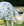 Chemise Anti-mouches Poney Amigo® Bug Rug Plus Horseware