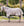 Chemise Anti-mouches Poney Amigo® Bug Rug Plus Horseware