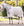 Chemise Anti-mouches Poney Amigo® Bug Rug Horseware