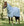 Chemise Anti-mouches Amigo® Bug Rug Plus Horseware