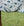 Chemise Anti-mouches Amigo® Bug Rug Horseware