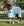 Chemise Anti-mouches Amigo® Bug Buster Horseware