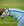 Couvre-cou Anti-mouches Amigo® Bug Buster Horseware