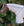 Couvre-cou Anti-mouches Amigo® Bug Buster Horseware
